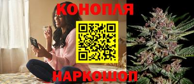 индика Будённовск