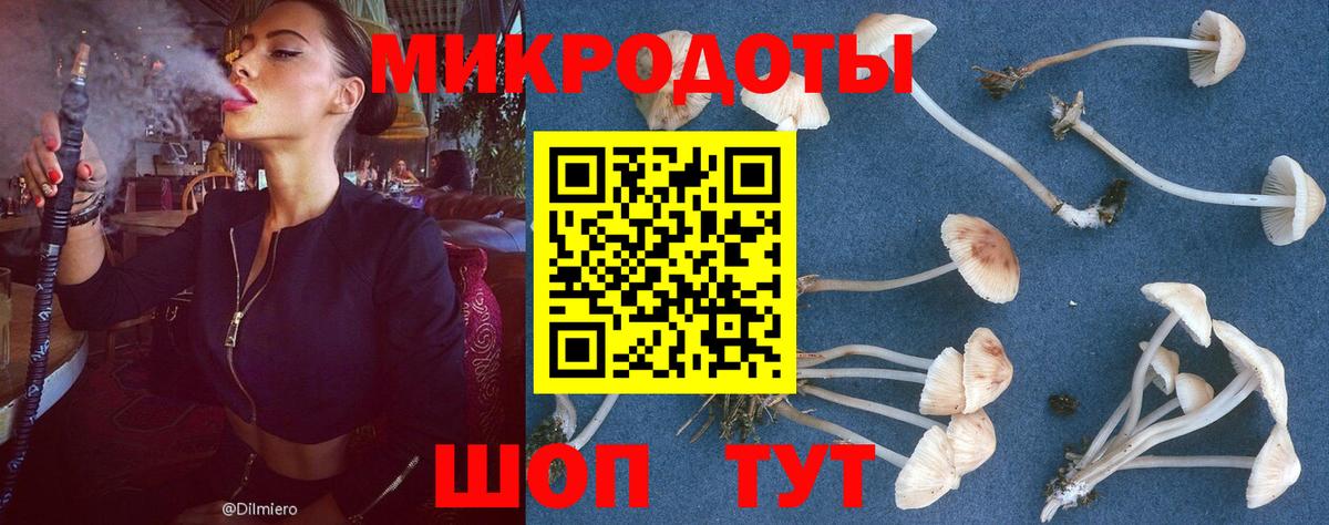 Сыктывкар  продажа наркотиков  Вход с VPN  Псилоцибиновые грибы ЛСД 