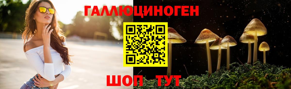 Галлюциногенные грибы Psilocybe Сыктывкар